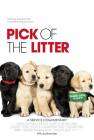 Pick of the Litter poster