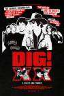 DIG! XX poster