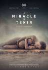 The Miracle of Tekir poster